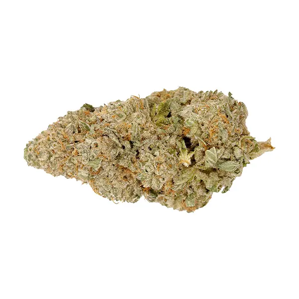 Donkey Butter (Dried Flower) by Top Leaf