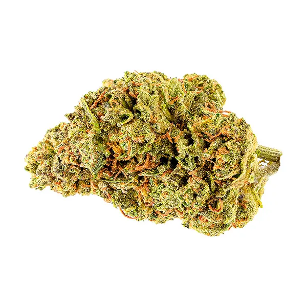 Bud image for Goldberry, cannabis dried flower by Palmetto