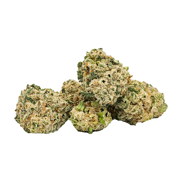 Bud image for Organic Minis, cannabis all products by Highly Dutch Organic