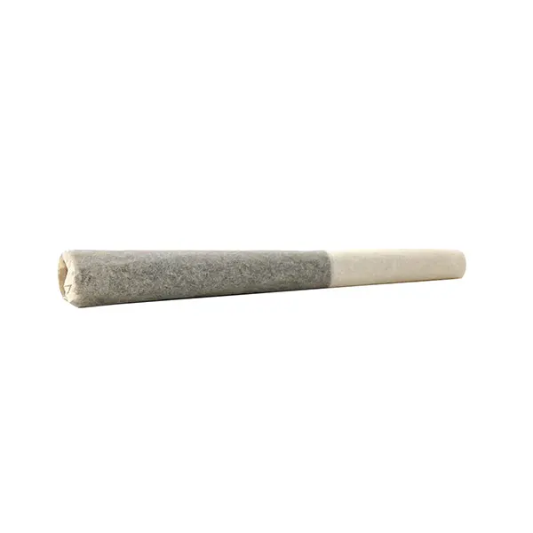Image for IC Infusion Infused Pre-Roll, cannabis all products by Tenzo
