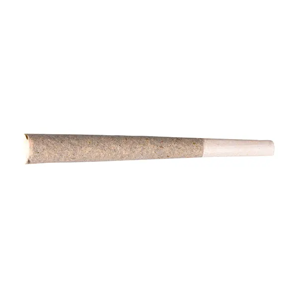 Image for The LAW Infused Pre-Roll, cannabis all products by BLKMKT
