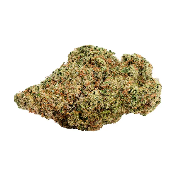 Bud image for Super Sativa, cannabis all products by Tenzo