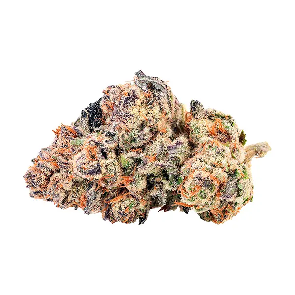 Bud image for Tex F2, cannabis all products by BLKMKT