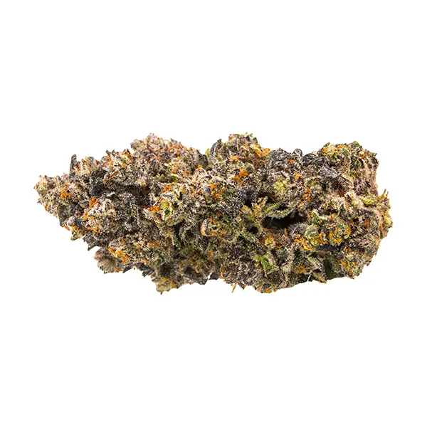 Bud image for Velvet Z, cannabis all products by EastCann