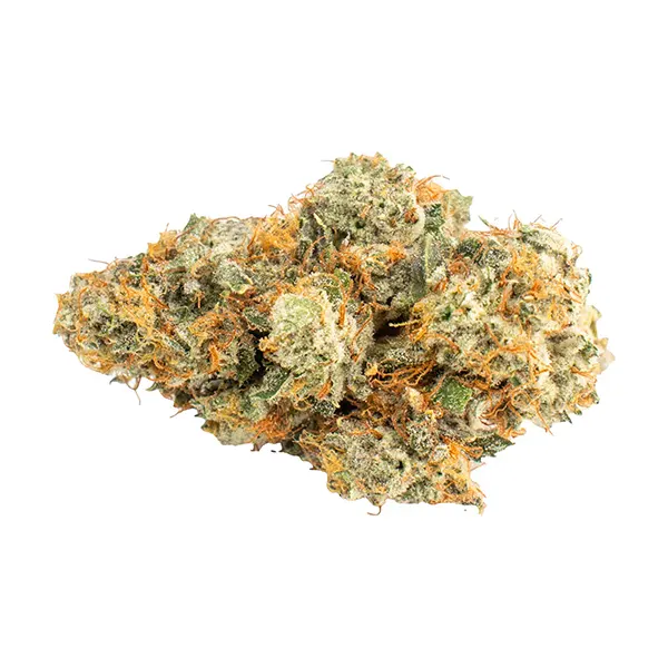 Bud image for Platinum Mints, cannabis all products by EastCann