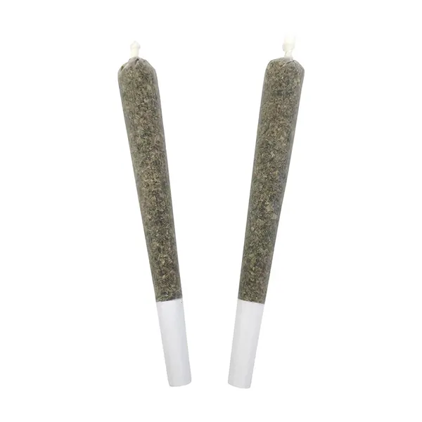 Image for Velvet Haze Pre-Roll, cannabis all products by BC Doobies