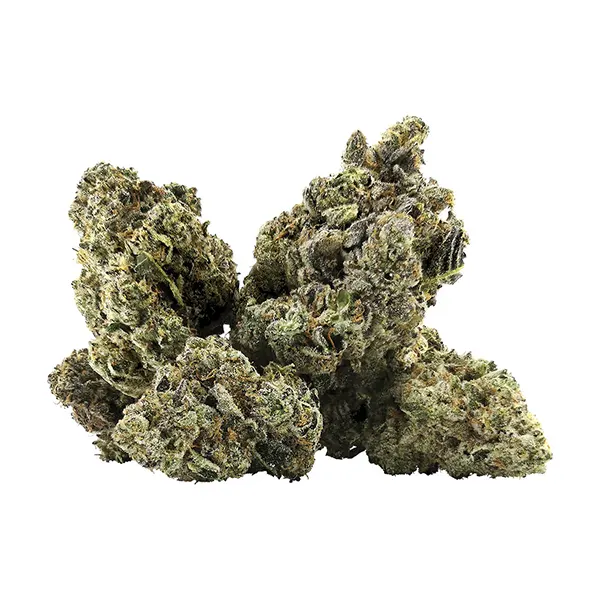Galactica OG (Dried Flower) by DEALR