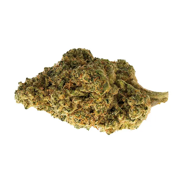 Bud image for Tropicana Cookies, cannabis all products by The Loud Plug