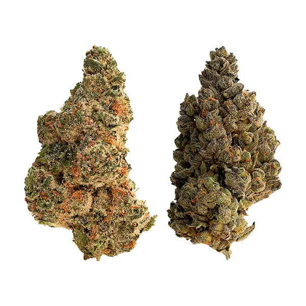 Bud image for Splitter, cannabis all products by The Loud Plug
