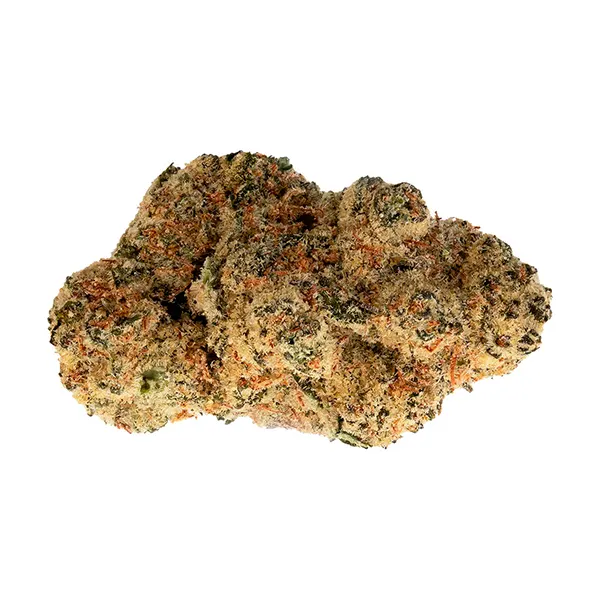Bud image for Secret Strains, cannabis dried flower by MaryJane's