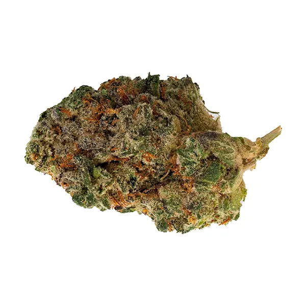 Bud image for Purple Rain, cannabis all products by The Loud Plug