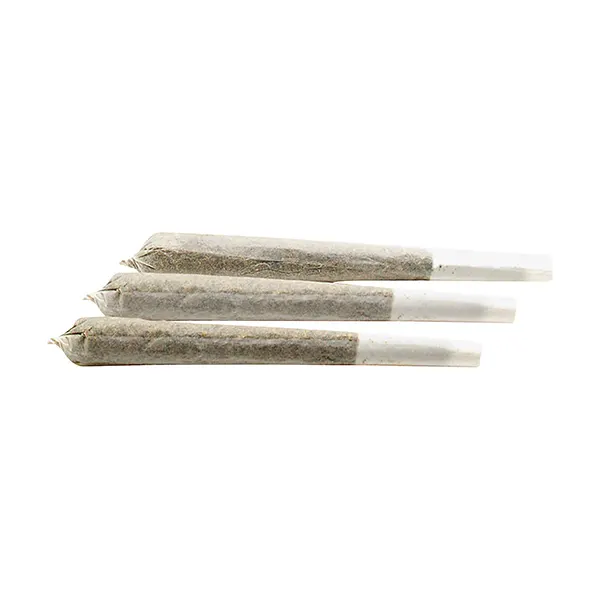 Image for Cabana Colada Distillate Infused Pre-Roll, cannabis all products by Cabana Cannabis Co.