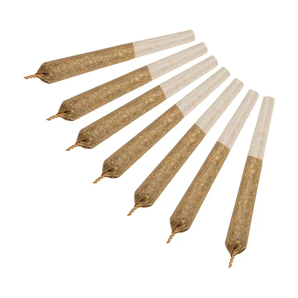 Daily's Sativa (..