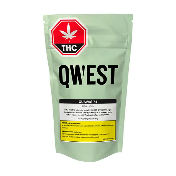 Guavas 74 Craft Whole Flower (Dried Flower) by Qwest