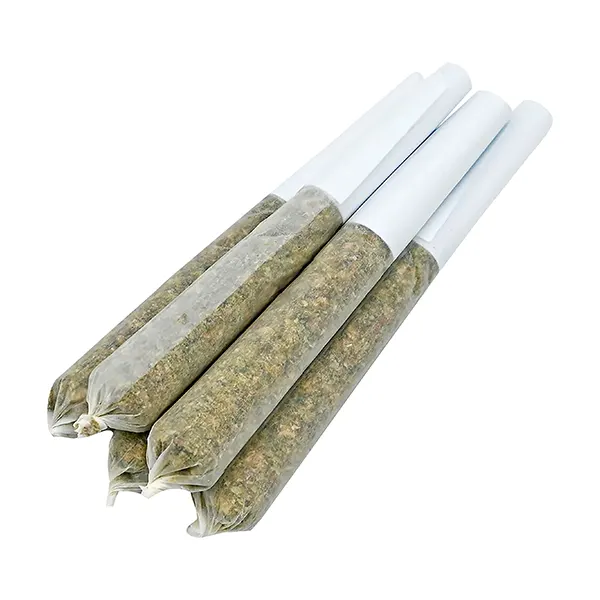Image for Exotic Collection Pre-Roll, cannabis all products by BC Weed Co.