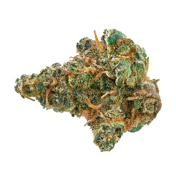 Bud image for Frosted Cream Puffs, cannabis all products by Spinach