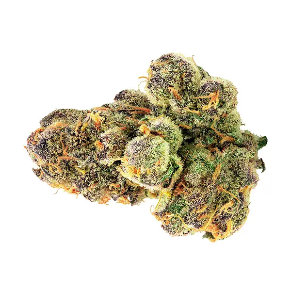 Green Monster Breath (Dried Flower) by Spinach