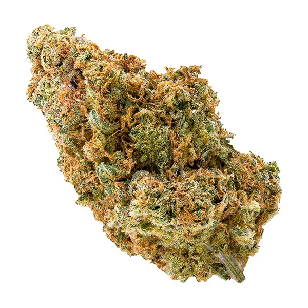Product image for Spinach Cannabis Flower by Cronos Group Inc.