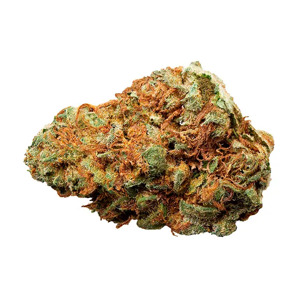 Product image for Spinach Cannabis Flower by Cronos Group Inc.
