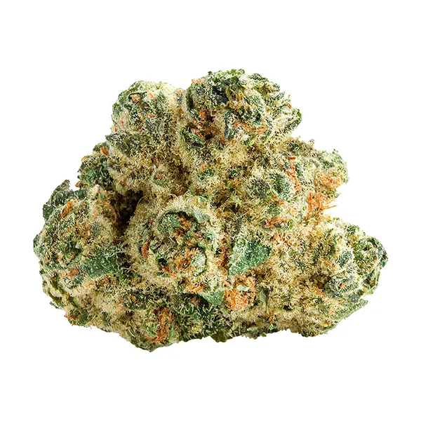 Bud image for Space Cake, cannabis dried flower by Spinach