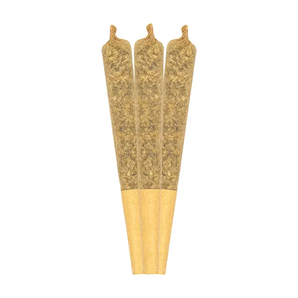 Image for Tropical Beast Infused Pre-Roll, cannabis all products by RAD