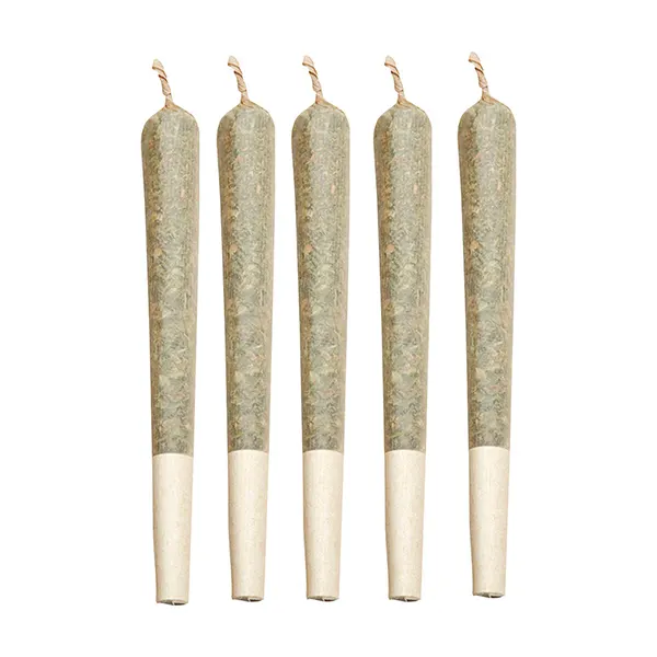 Image for Pink Lemon Shatter Infused Pre-Roll, cannabis all products by Zest