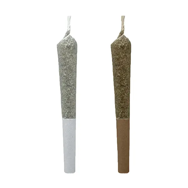 Image for Citrus Rush x K-Smorz Pre-Roll, cannabis all products by NESS