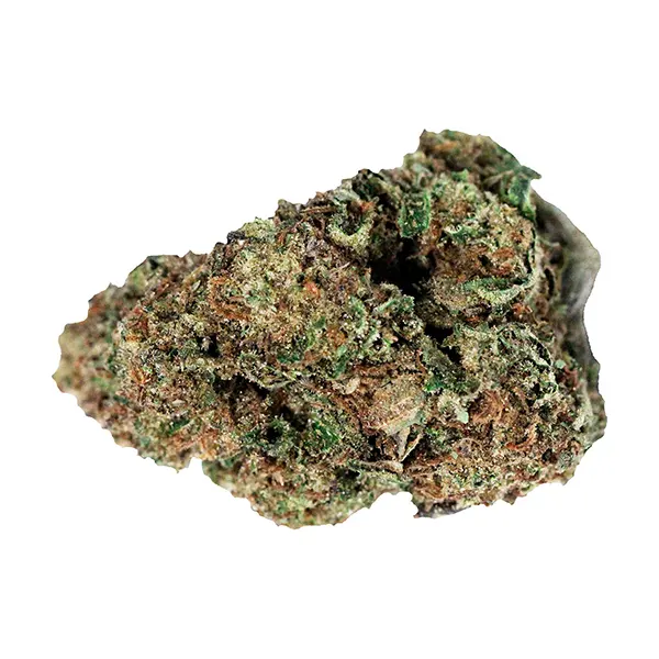 Northern Lights (Dried Flower) by Jonny Chronic