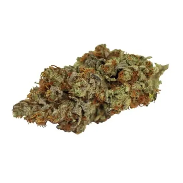 Bud image for Tangerine Cookies, cannabis all products by Wink