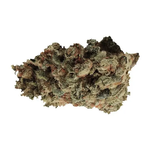 Bud image for Secret Formula, cannabis dried flower by Wink