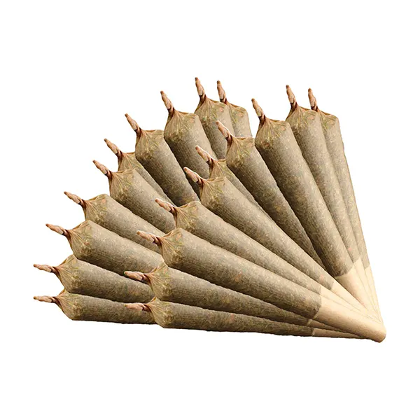 Indica 420 Pre-R..