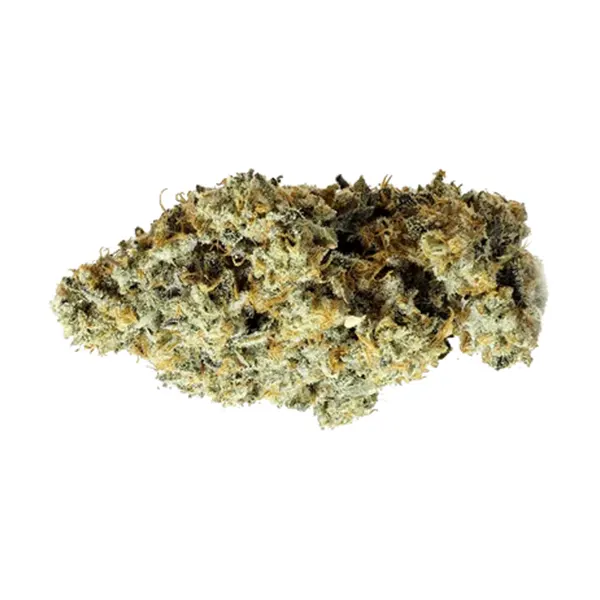 Bud image for Pink Cookies x Kush Mints, cannabis dried flower by Thumbs Up
