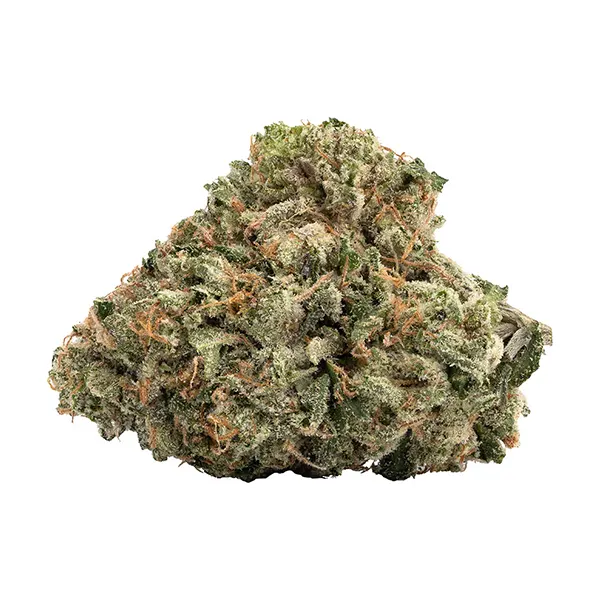 Bud image for Gas Nasty (BMS x GMO), cannabis all products by Wink