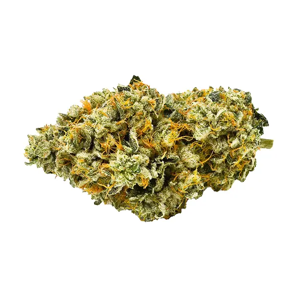 Bud image for Medellin, cannabis dried flower by Weed Me