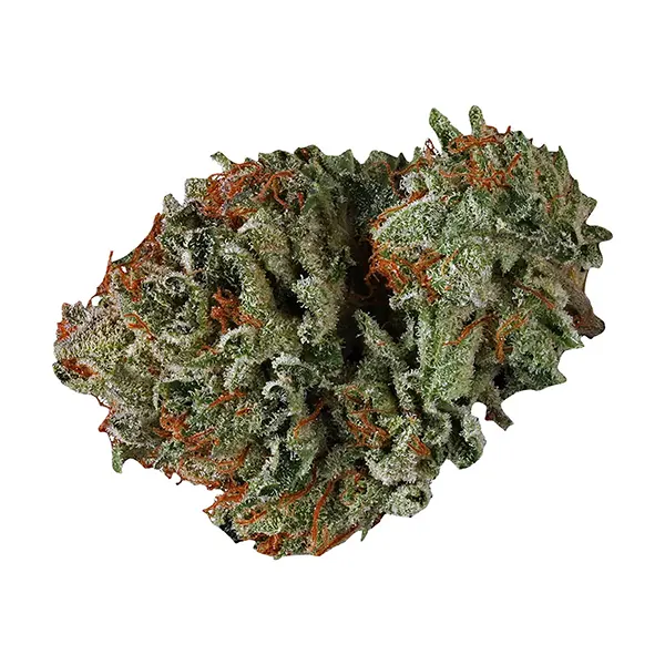 Fruity Pleasure (Dried Flower) by Weed Me