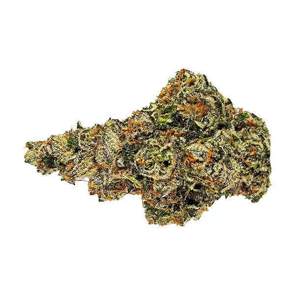 Lemon Shortcake (Dried Flower) by Weed Me