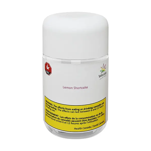 Lemon Shortcake (Dried Flower) by Weed Me