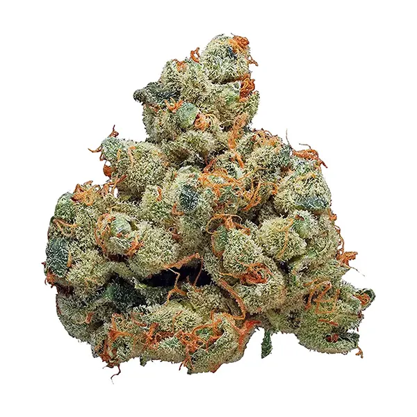 Bud image for Rocket Candy, cannabis all products by Wink