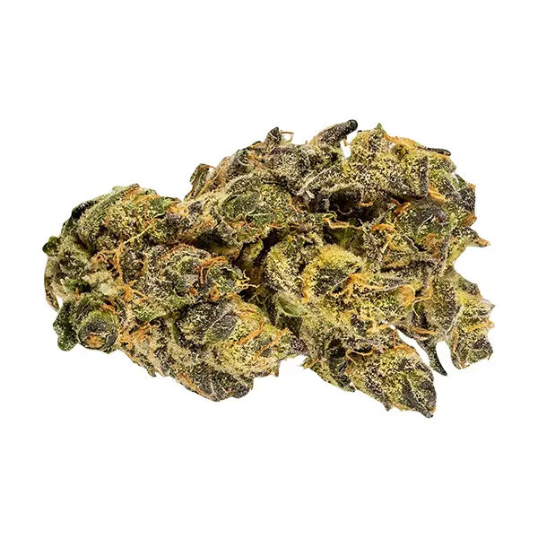 Bud image for Citrus Tsunami, cannabis all products by Wink