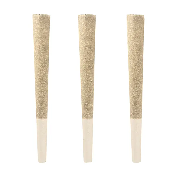 Image for Summer Nights Collection Distillate Infused Pre-Roll, cannabis all products by Stunnerz