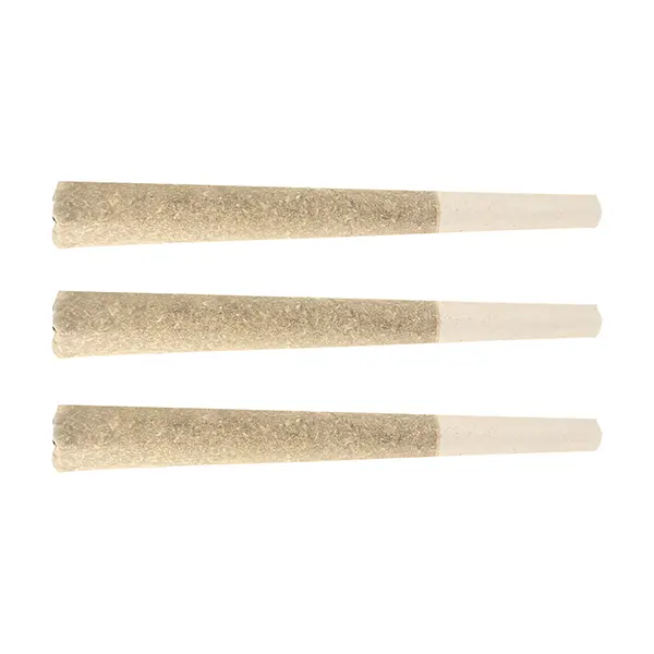 Live Rosin Infus..