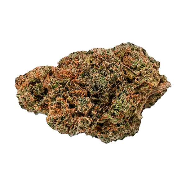 King's Counsel (Dried Flower) by Cannabis Cartel