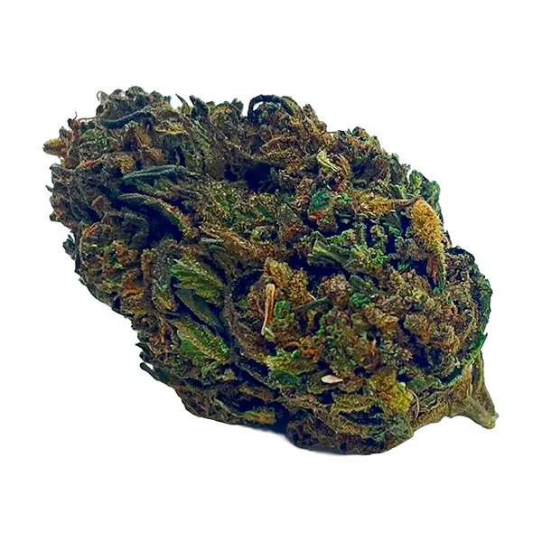 Cherry Superior CBD (Dried Flower) by Hemp Pharms
