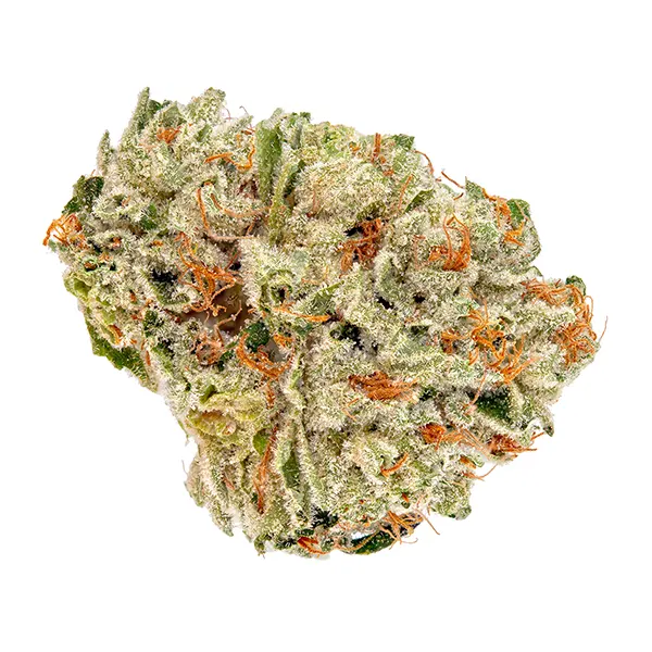 Cherry Diesel Cheesecake (Dried Flower) by Be Humble.