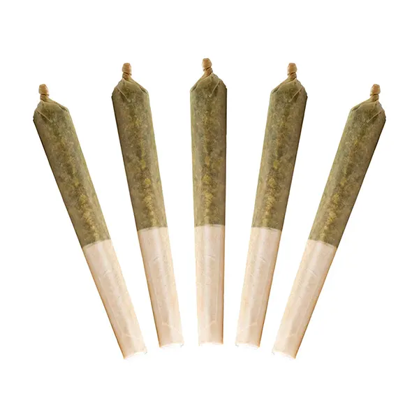 Lil Buddy Indica Pre-Roll (Pre-Rolls) by Buddy Blooms