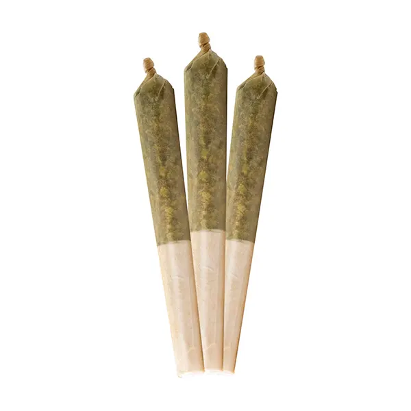 Image for D'oh Boi Dunkz. Infused Pre-Rolls, cannabis all products by Litti.
