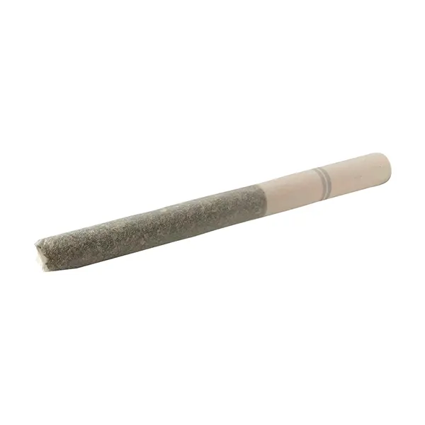 Image for Lemon Ice Tea Pre-Roll