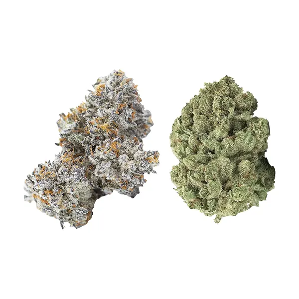 Gold Cash Gold & Pure Michigan Mixed Pack (Dried Flower) by 3rd Coast Genetics