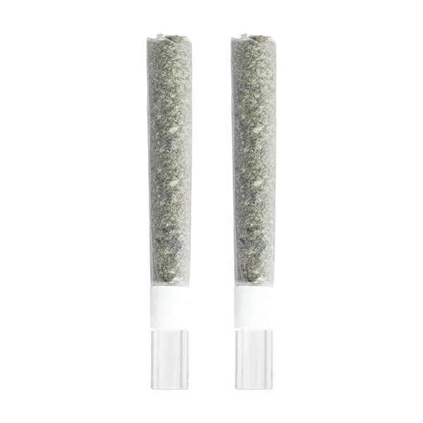 Image for Gold Cash Gold & Pure Michigan Glass Tip Pre-Roll Mix Pack, cannabis all products by 3rd Coast Genetics