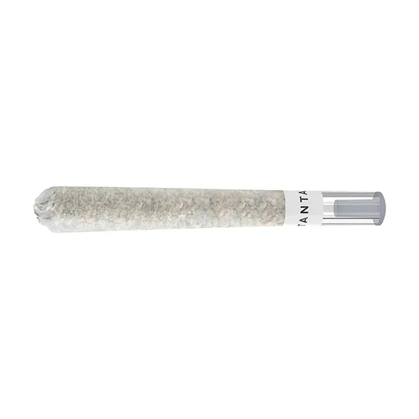 Image for OG Platinum Mints Glass Tip Pre-Roll, cannabis pre-rolls by Tantalus Labs